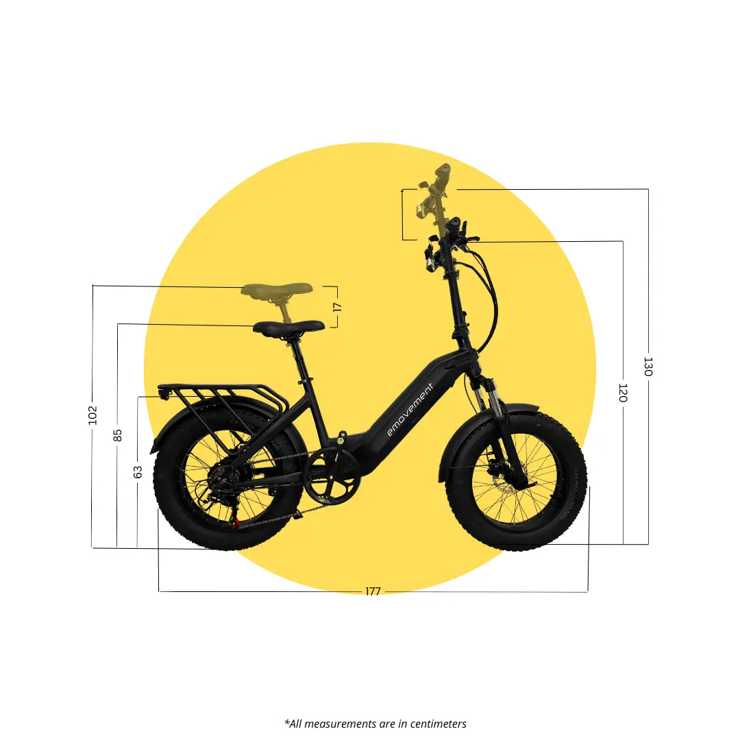 Raven electric bike