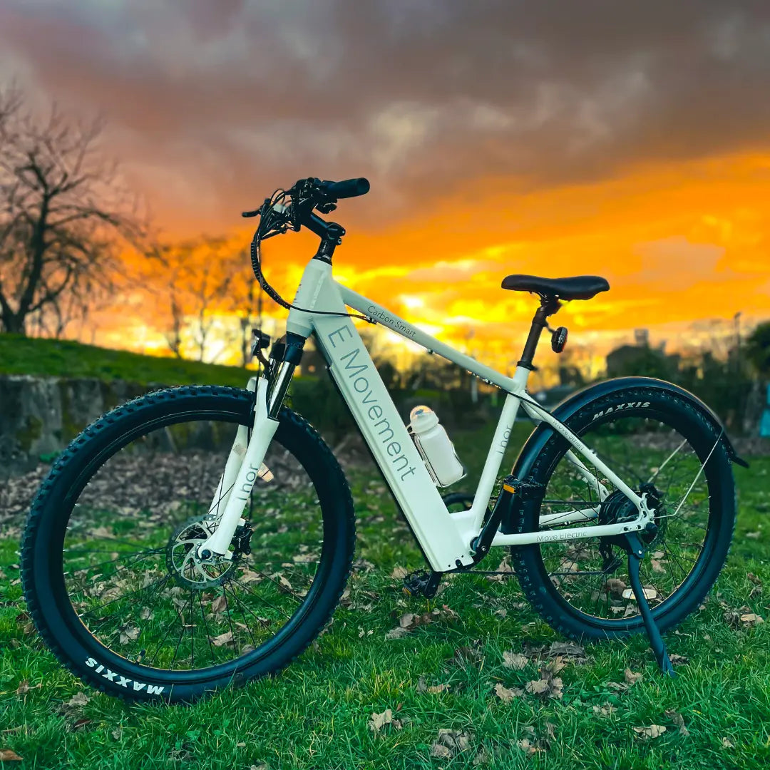Best Electric Bikes Under £1000 - E Movement Top Picks 2025