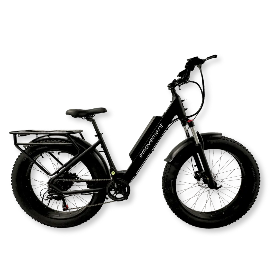 Aries - best mountain electric bike