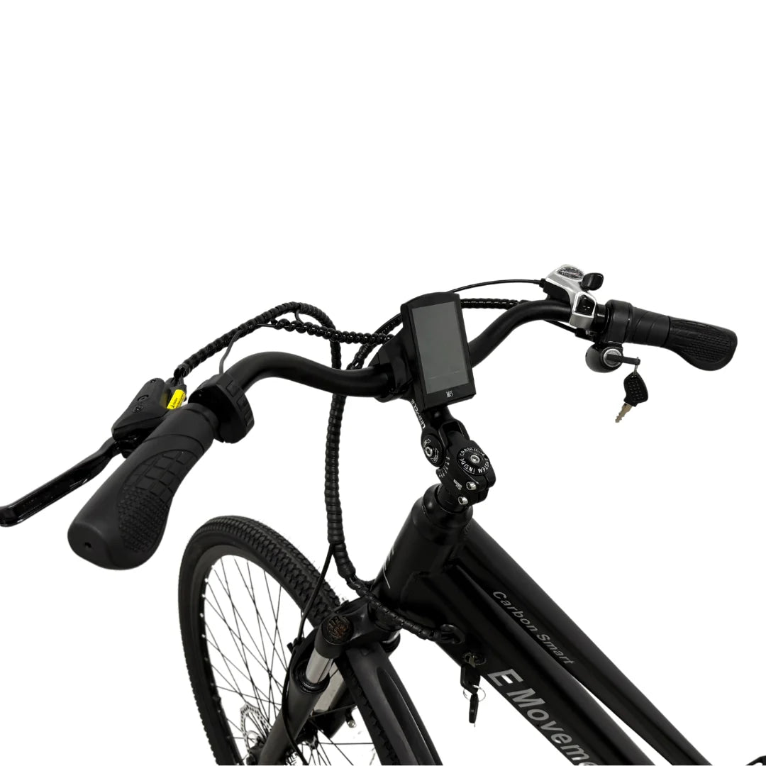 Electric bike handle