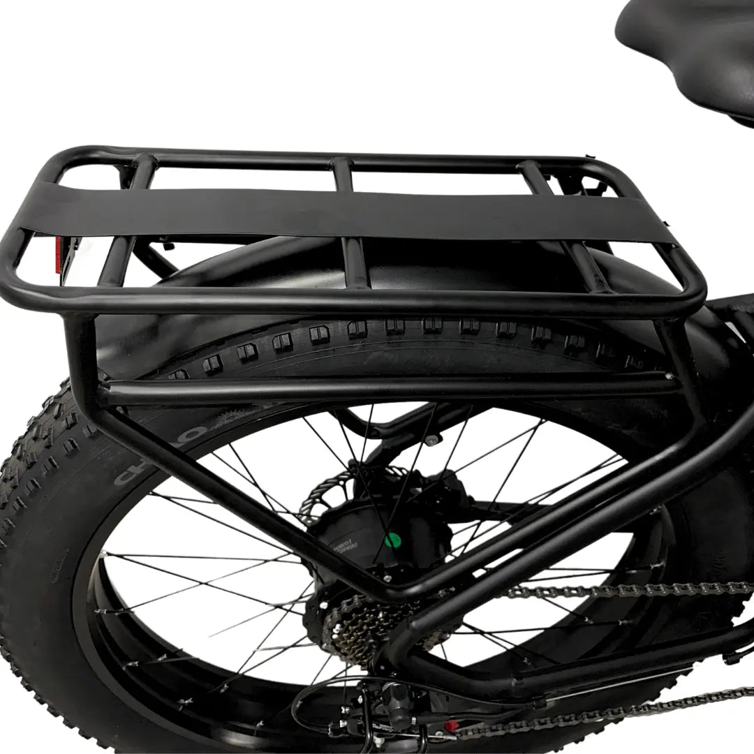 Raven electric bike