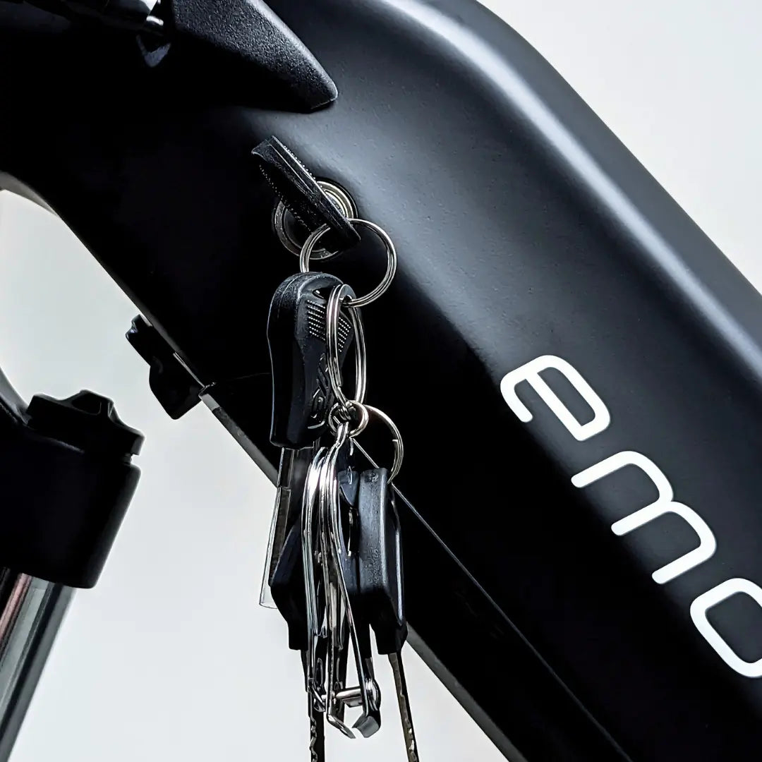 Raven electric bike