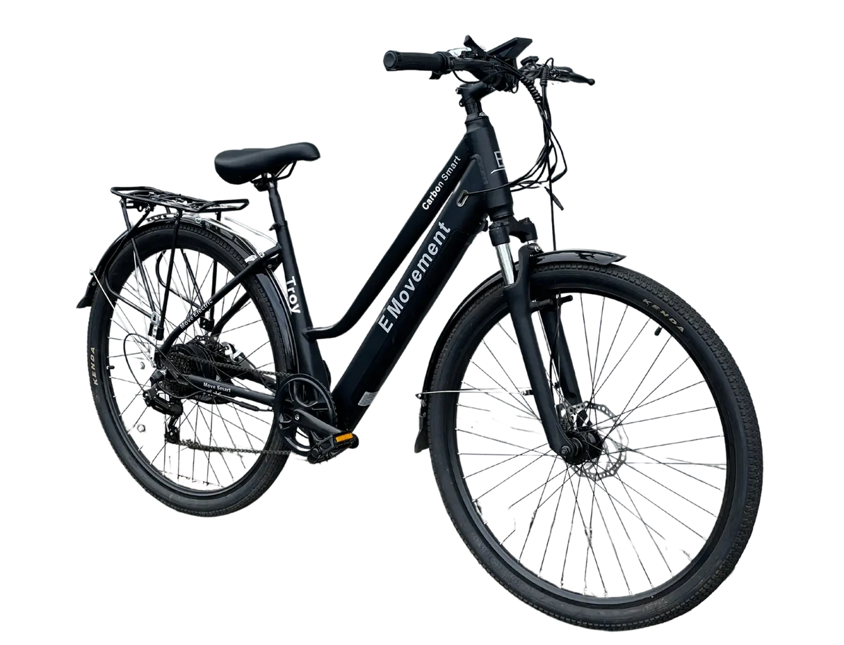 Troy e-bike