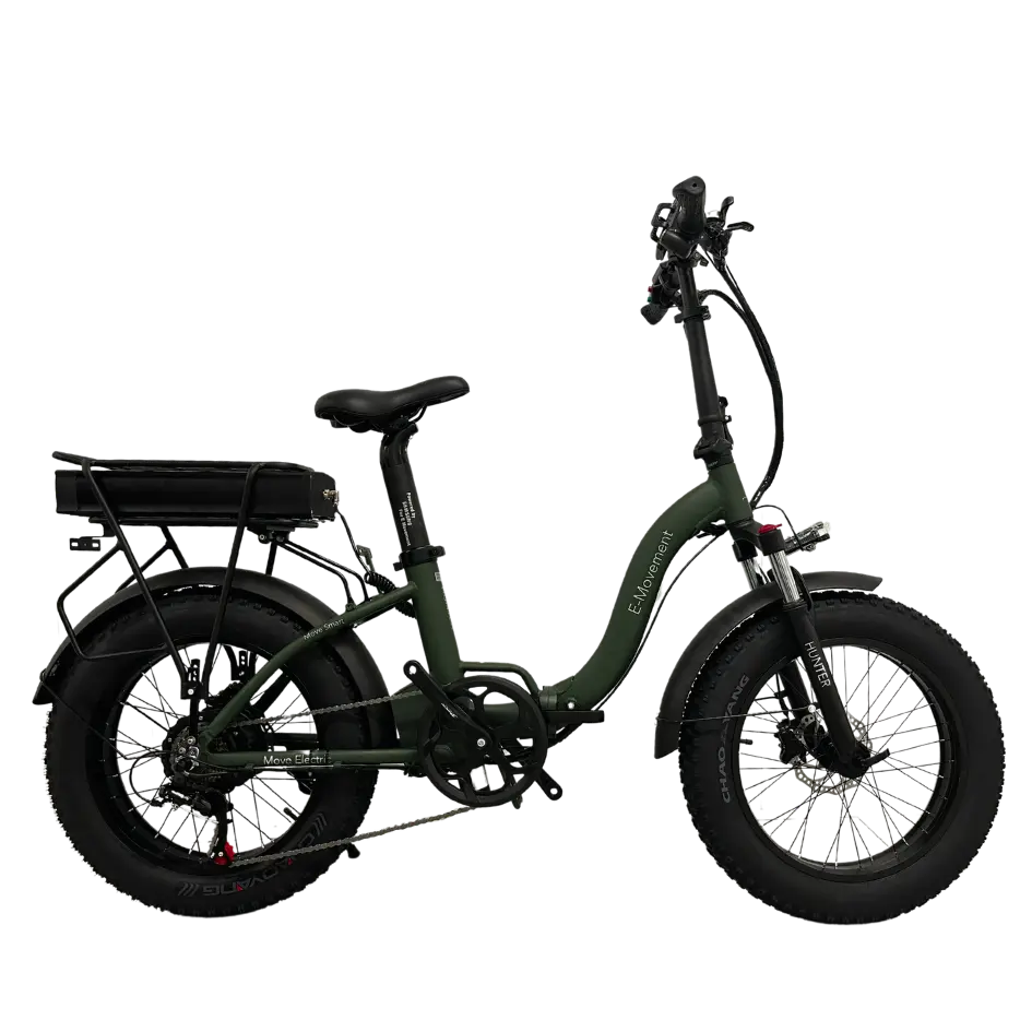 Hunter extreme - Ladies e-bike