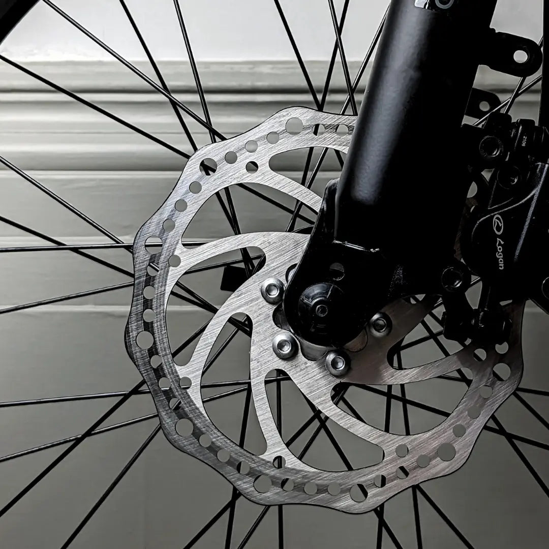brake disks of pather v4.2