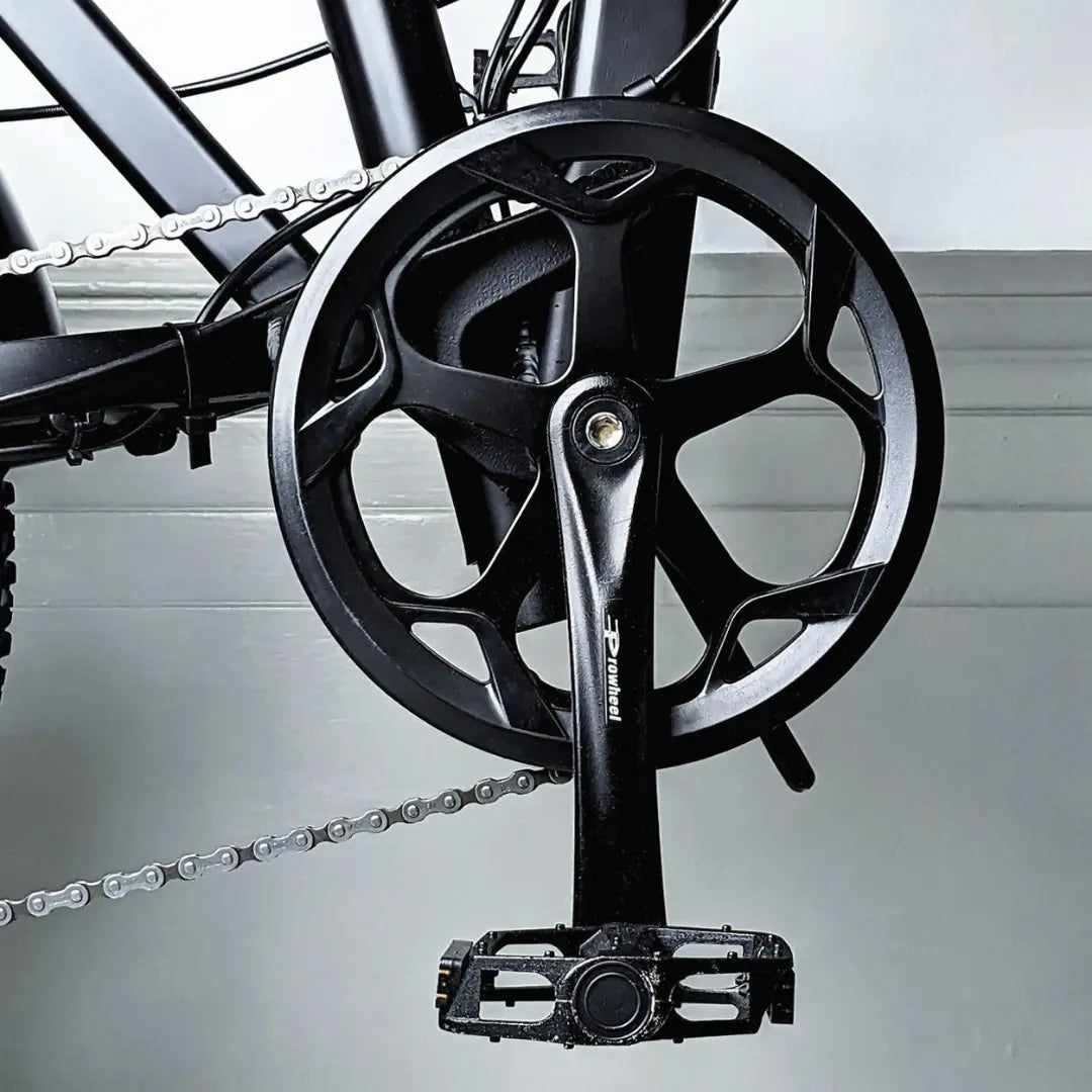 Raven electric bike