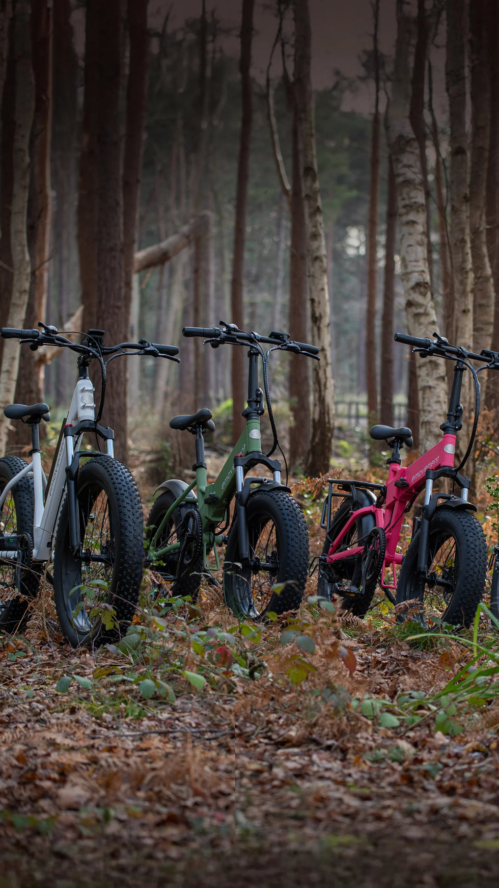 E movement Electric Bikea