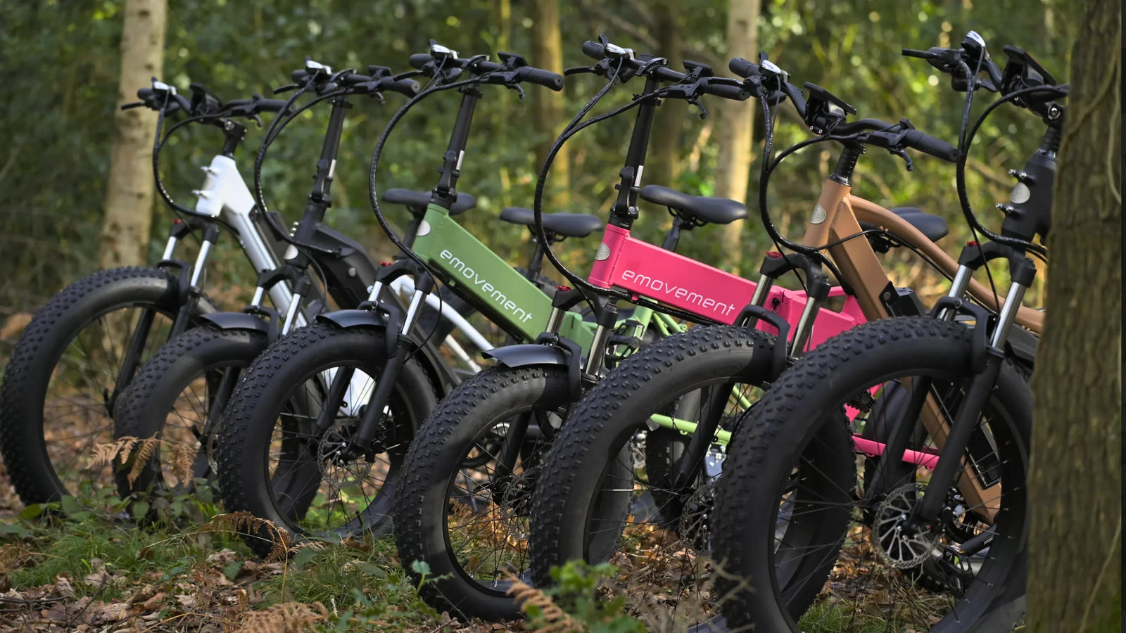 Can I Ride My Electric Bike in the Winter?