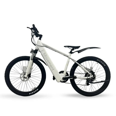 How to Choose the Best eMTB in the UK: A Complete Buyer’s Guide 