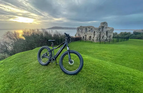 Are Electric Bikes Worth Investing In?