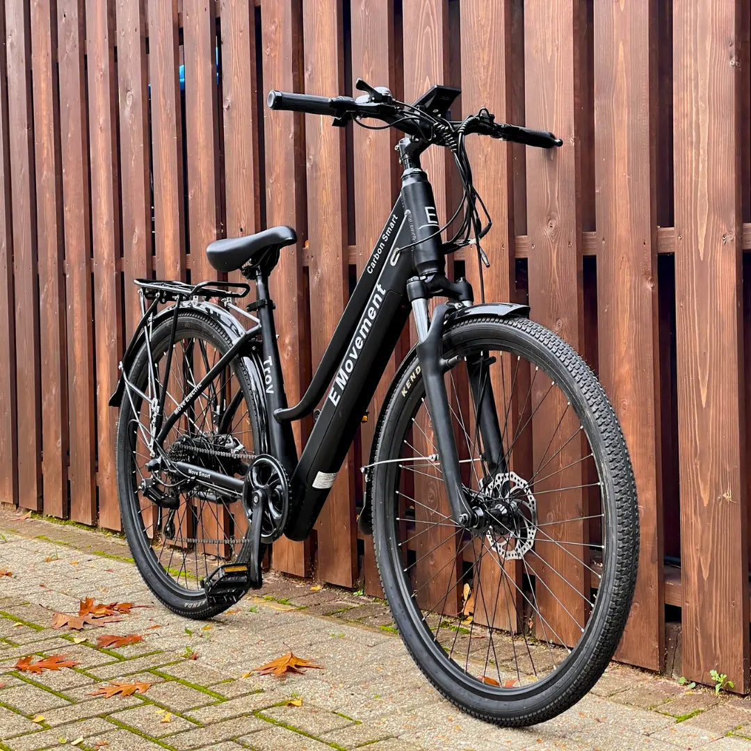 What types of e-bikes does E-Movement offer for different lifestyles?