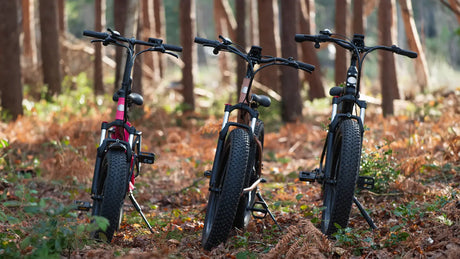 How to Choose an Electric Bike - A Buyer’s Guide