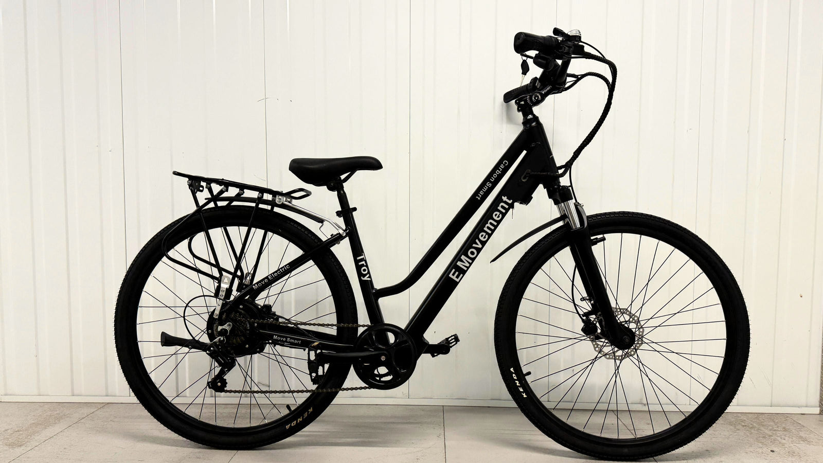 Troy 250W E-bike: Affordable Luxury for Daily Commutes