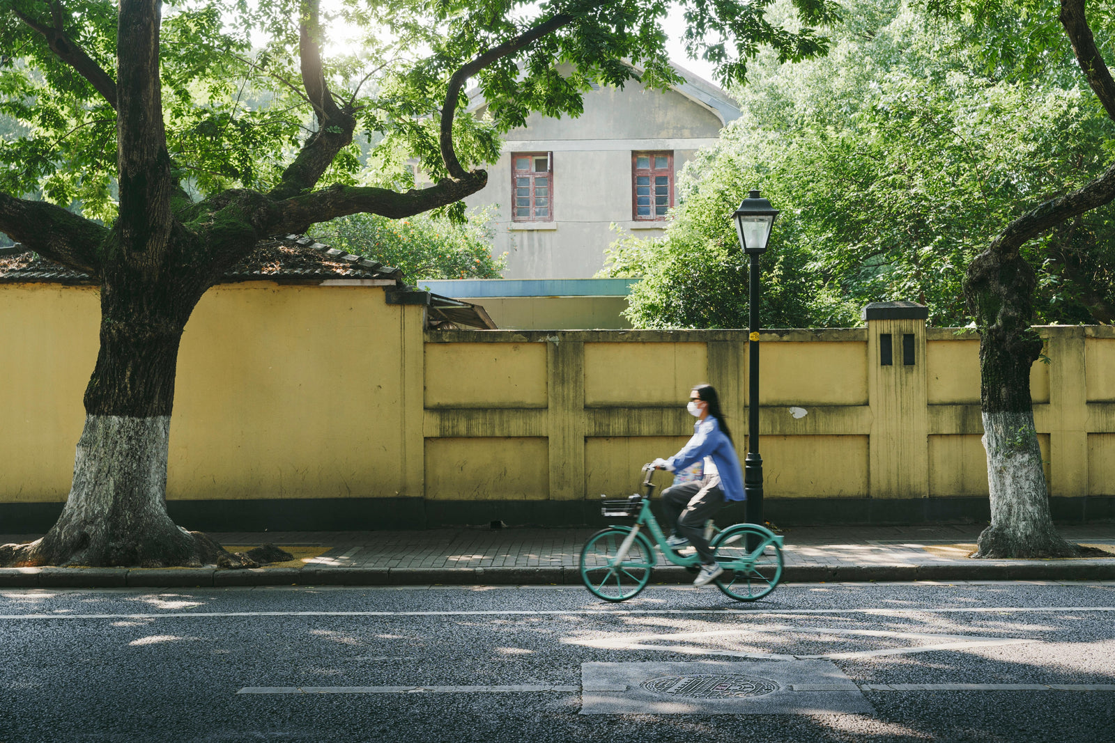 Can You Ride an Electric Bike if Banned From Driving?