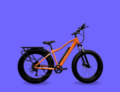 How E-Bikes Have Made Women's Lives Easier in the UK