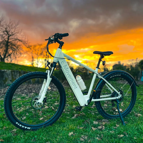 Ex-Demo E Bikes for Sale - Best eBikes Under £1000