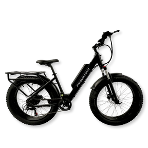 Aries - best mountain electric bike