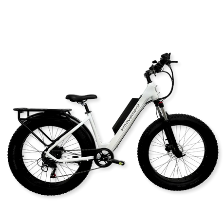 Aries Electric Mountain Bike (eMTB) 250W | 500W