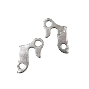 derailleur hooks in silver for an ebike