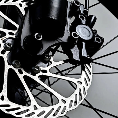 disc brake