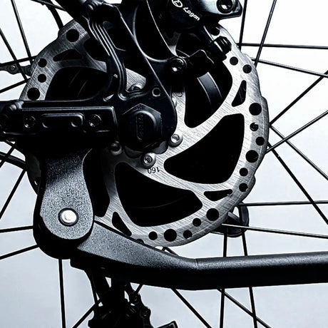 disc brake