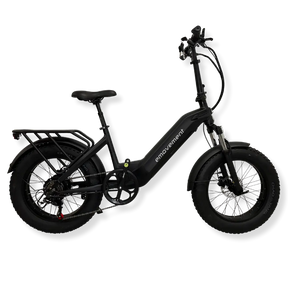 Raven electric bike