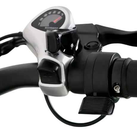 Troy step-through ebike handle