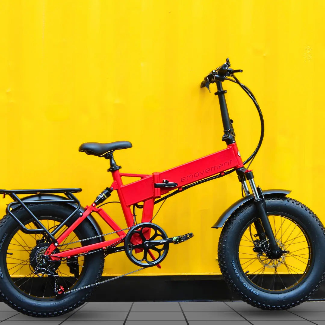 panther fahrrad e-bike Panther v4.2 Best Folding Electric Bike